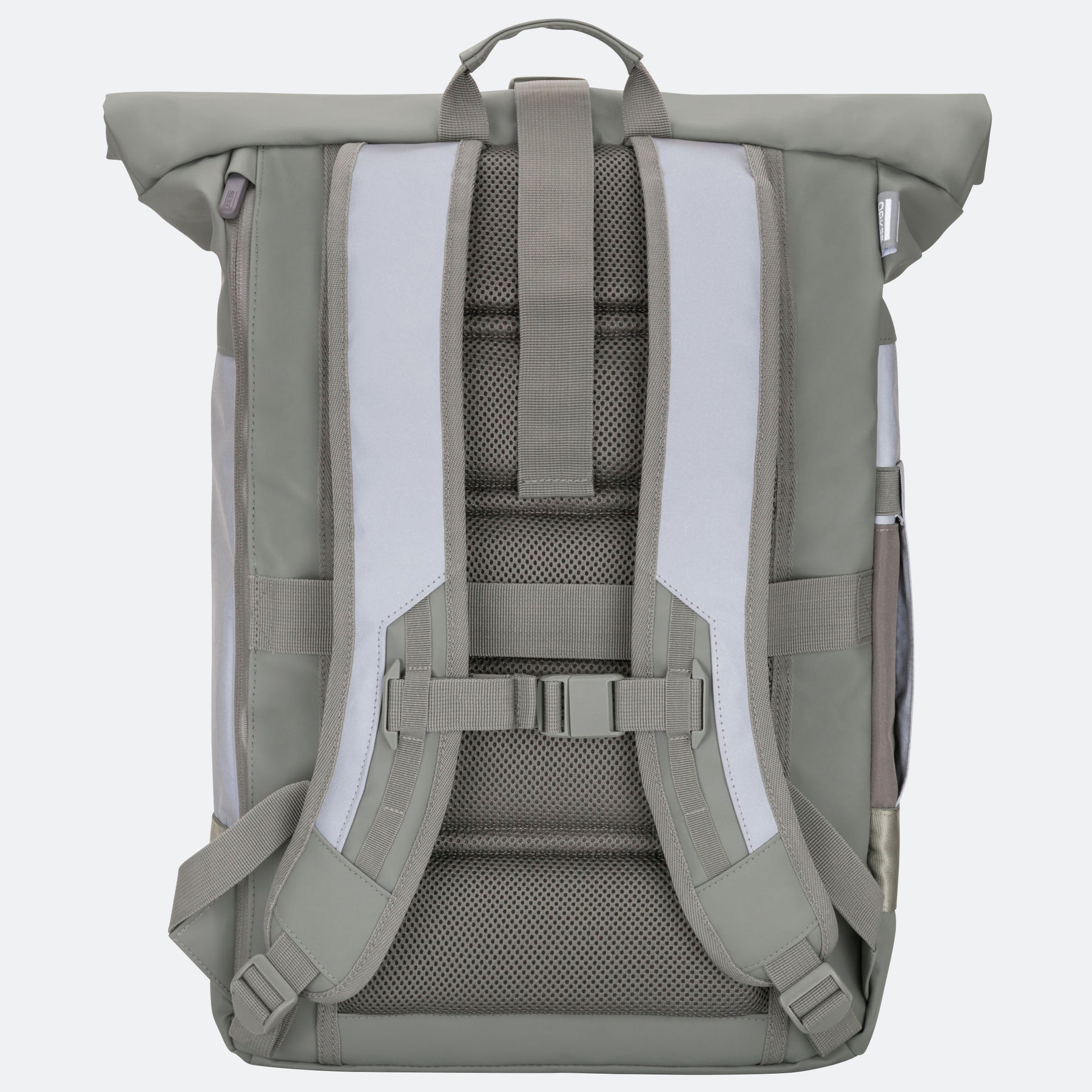 Rückseite eines salbeigrünen Rolltop-Rucksacks mit ergonomischen Trägern, Brustgurt und gepolstertem Rücken
